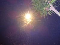 Silvesterabend 8 &ndash; &copy; Margret van Blokland (Eberhardt TRAVEL)