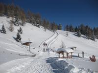 IMG_8982 Winterwanderweg auf dem Rosskopf &ndash; &copy; Annette Zocher (Eberhardt TRAVEL)