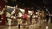 Vatikanisches Museum &ndash; &copy; Madlen Lohr (Eberhardt TRAVEL)