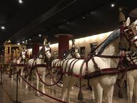 Vatikanische Museen  &ndash; &copy; Laura Wonneberger (Eberhardt TRAVEL)