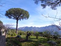 Ravello 9