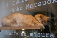 Kater als 