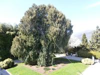 Lago Maggiore Isola Madre &ndash; &copy; Ingrid Langer (Eberhardt TRAVEL)