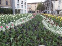 Lugano &ndash; &copy; Ingrid Langer (Eberhardt TRAVEL)