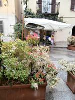 Orta &ndash; &copy; Ingrid Langer (Eberhardt TRAVEL)