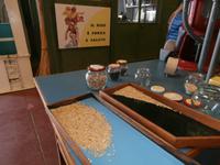 Agriturismo Oryza &ndash; &copy; Ingrid Langer (Eberhardt TRAVEL)