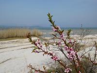 Gardasee &ndash; &copy; Petra Sauer (Eberhardt TRAVEL)