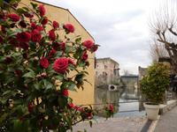 Borghetto  &ndash; &copy; Petra Sauer (Eberhardt TRAVEL)