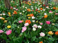 Heller-Garden &ndash; &copy; Petra Sauer (Eberhardt TRAVEL)