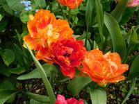 Heller-Garden &ndash; &copy; Petra Sauer (Eberhardt TRAVEL)