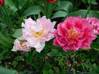 Heller-Garden &ndash; &copy; Petra Sauer (Eberhardt TRAVEL)