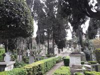 62_Rom_Protest.Friedhof_2 &ndash; &copy; Walburga Lindner (Eberhardt TRAVEL)