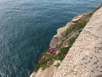 Ischia &ndash; &copy; Franziska Schütt (Eberhardt TRAVEL)