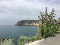 Ischia