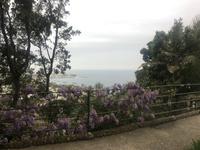 Ischia &ndash; &copy; Franziska Schütt (Eberhardt TRAVEL)