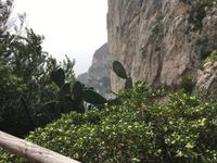 Capri &ndash; &copy; Franziska Schütt (Eberhardt TRAVEL)