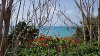 Selinunte 20180416_111244 &ndash; &copy; Marlies Thrum (Eberhardt TRAVEL)