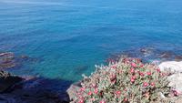Cefalu 20180417 151515 &ndash; &copy; Marlies Thrum (Eberhardt TRAVEL)