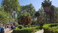 Palermo 20180417 104406 &ndash; &copy; Marlies Thrum (Eberhardt TRAVEL)