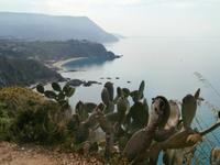 Capo Vaticano &ndash; &copy; Ingrid Langer (Eberhardt TRAVEL)