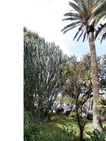 Reggio Calabria &ndash; &copy; Ingrid Langer (Eberhardt TRAVEL)