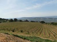 Weinkellerei Lento &ndash; &copy; Ingrid Langer (Eberhardt TRAVEL)