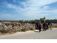 Wanderkreuzfahrt mit der Berlin - Wanderung zu den Dingli-Klippen auf Malta &ndash; &copy; Franziska Bergmann (Eberhardt TRAVEL)