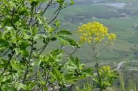 Enna u. Agrigento
