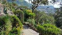 Giardini la Mortella &ndash; &copy; Betina Marinow (Eberhardt TRAVEL)