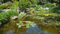 Giardini la Mortella &ndash; &copy; Betina Marinow (Eberhardt TRAVEL)