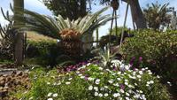 Giardini Ravino &ndash; &copy; Betina Marinow (Eberhardt TRAVEL)