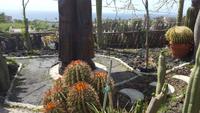 Giardini Ravino &ndash; &copy; Betina Marinow (Eberhardt TRAVEL)