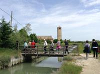 auf Torcello &ndash; &copy; Uta Schöne (Eberhardt TRAVEL)