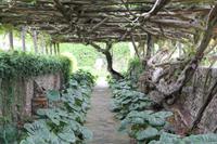Pergola der Villa Camarella an der Via Tiberio &ndash; &copy; Uwe Lorenz (Eberhardt TRAVEL)