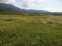 P80518-110712 &ndash; &copy; Ksenia Parfenova (Eberhardt TRAVEL)