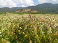 P80518-110831 &ndash; &copy; Ksenia Parfenova (Eberhardt TRAVEL)