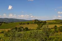 Toskanalandschaft bei Empoli &ndash; &copy; Andreas Wolfsteller (Eberhardt TRAVEL)