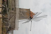 IMG_7410