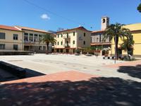 Palmen auf einem Platz in Marina di Campo auf Elba. &ndash; &copy; Gerd Pierschek (Eberhardt TRAVEL)