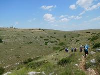 Wanderung in der Basilikata - Gravina Schlucht bei Matera (Apulien - Italien) (8)