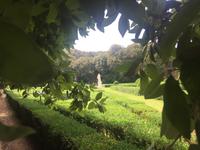 017 San Quirico d'Orgia &ndash; &copy; Patrick Fritzsche (Eberhardt TRAVEL)