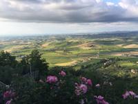 164 Blick von der Hotelterrasse &ndash; &copy; Patrick Fritzsche (Eberhardt TRAVEL)
