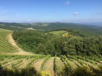 204 von Montalcino nach Sant Antimo &ndash; &copy; Patrick Fritzsche (Eberhardt TRAVEL)
