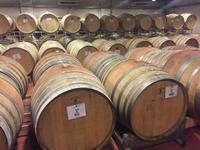 223 Weingut La Magia &ndash; &copy; Patrick Fritzsche (Eberhardt TRAVEL)