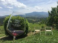 229 Weingut La Magia &ndash; &copy; Patrick Fritzsche (Eberhardt TRAVEL)