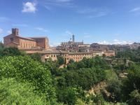 292 Siena &ndash; &copy; Patrick Fritzsche (Eberhardt TRAVEL)