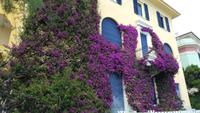 Monterosso &ndash; &copy; Betina Marinow (Eberhardt TRAVEL)