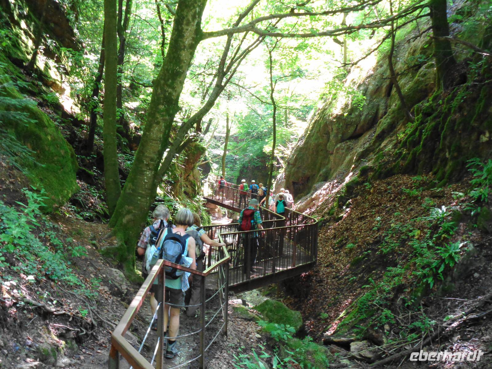 In der Rastenbachklamm  &ndash; &copy; Martina Häselbarth (Eberhardt TRAVEL)