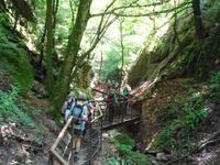 In der Rastenbachklamm  &ndash; &copy; Martina Häselbarth (Eberhardt TRAVEL)