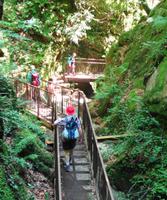In der Rastenbachklamm  &ndash; &copy; Martina Häselbarth (Eberhardt TRAVEL)